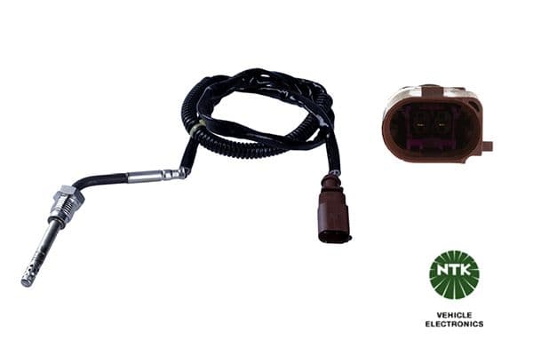 Capteur, température des gaz NTK