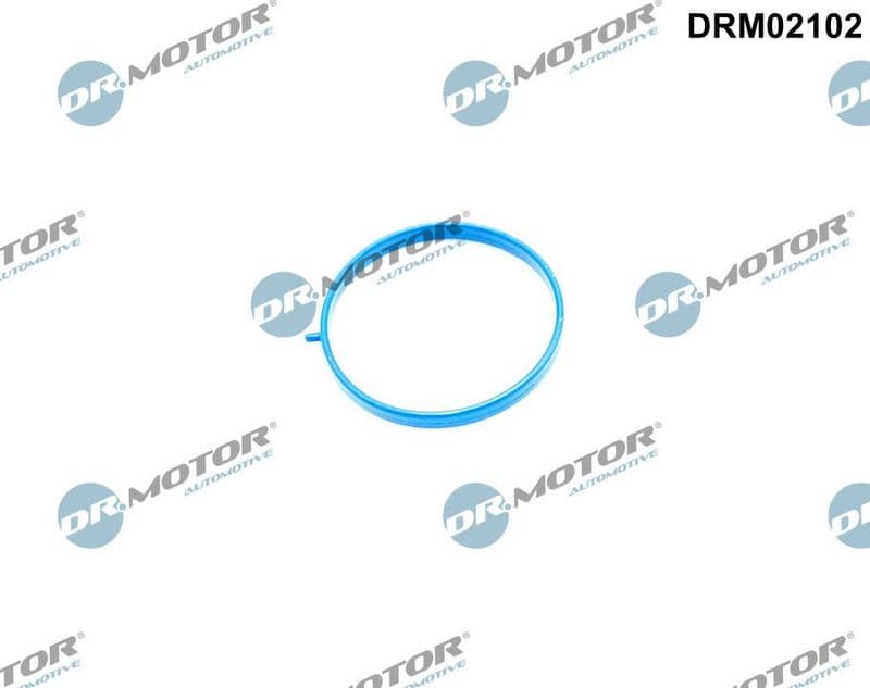 Joint, collecteur d'admission Dr.Motor Automotive