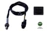 Sonde lambda NTK