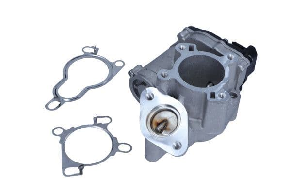 Vanne EGR MAXGEAR