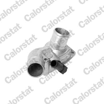 Thermostat, liquide de refroidissement CALORSTAT by Vernet
