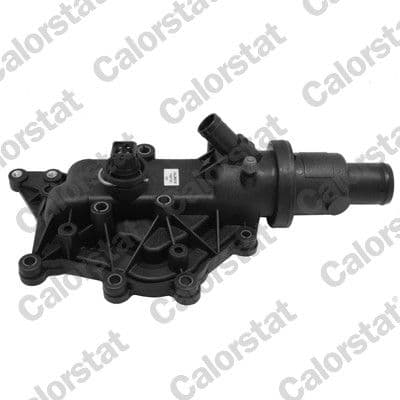 Thermostat, liquide de refroidissement CALORSTAT by Vernet