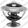 Thermostat, liquide de refroidissement CALORSTAT by Vernet