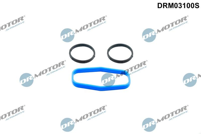 Kit de joints, pompe à huile Dr.Motor Automotive