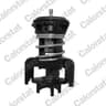 Thermostat, liquide de refroidissement CALORSTAT by Vernet