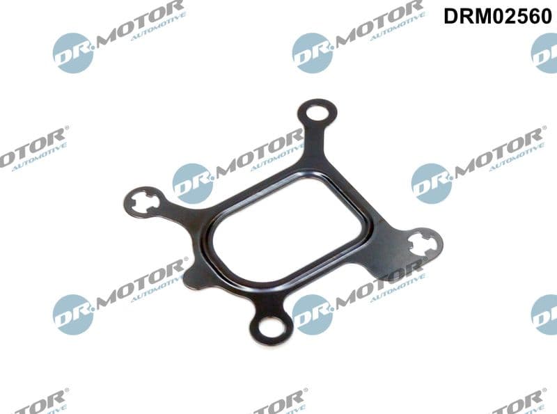 Joint, bride de liquide de refroidissement Dr.Motor Automotive