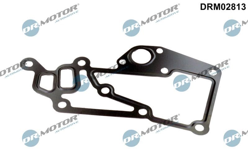 Joint, boîtier du thermostat Dr.Motor Automotive