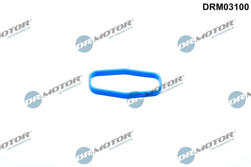 Joint, pompe à huile Dr.Motor Automotive