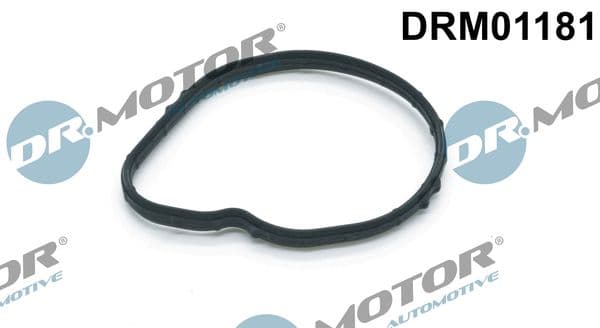 Joint, thermostat Dr.Motor Automotive