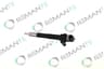 Injecteur REMANTE
