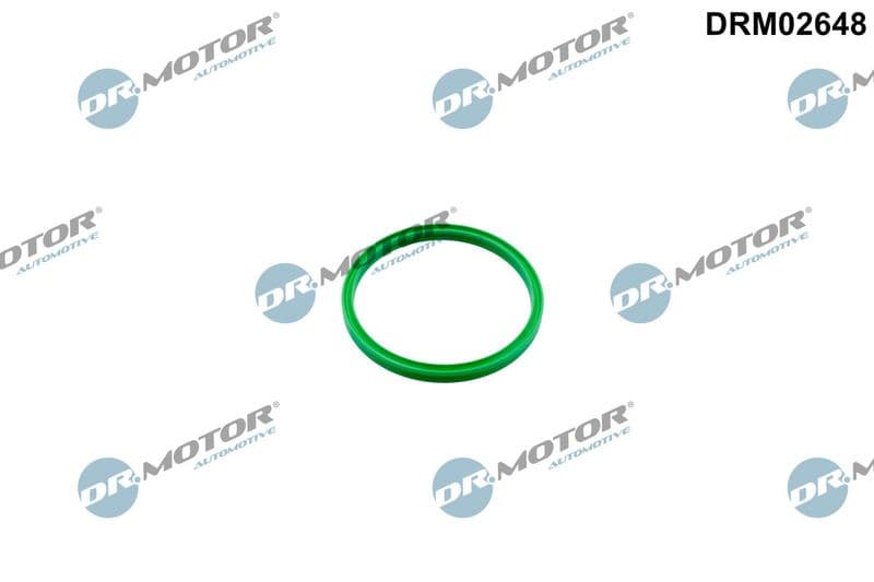Bague d'étanchéité, gaine de suralimentation Dr.Motor Automotive