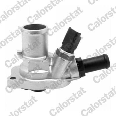 Thermostat, liquide de refroidissement CALORSTAT by Vernet
