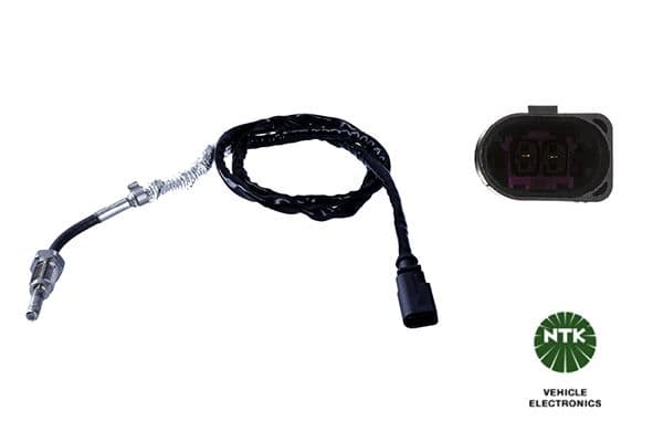 Capteur, température des gaz NTK