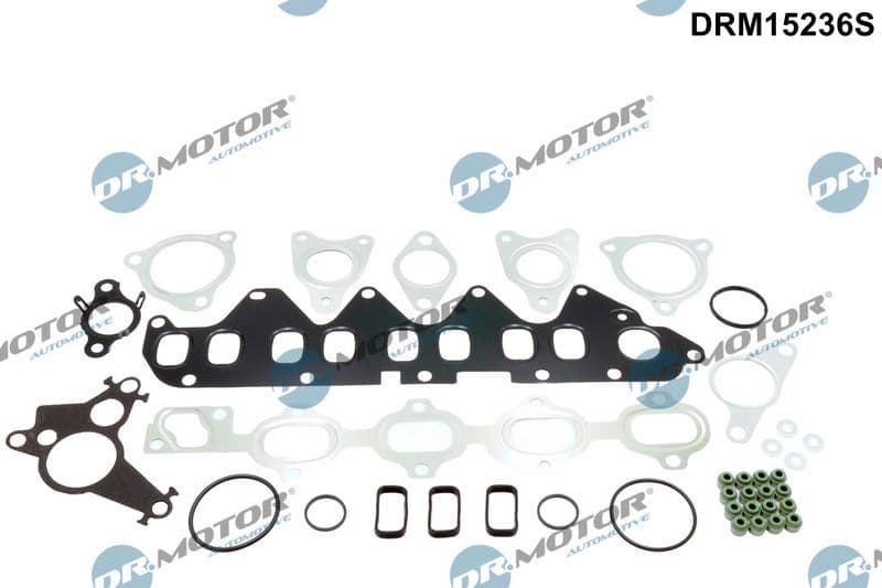 Jeu de joints, culasse Dr.Motor Automotive