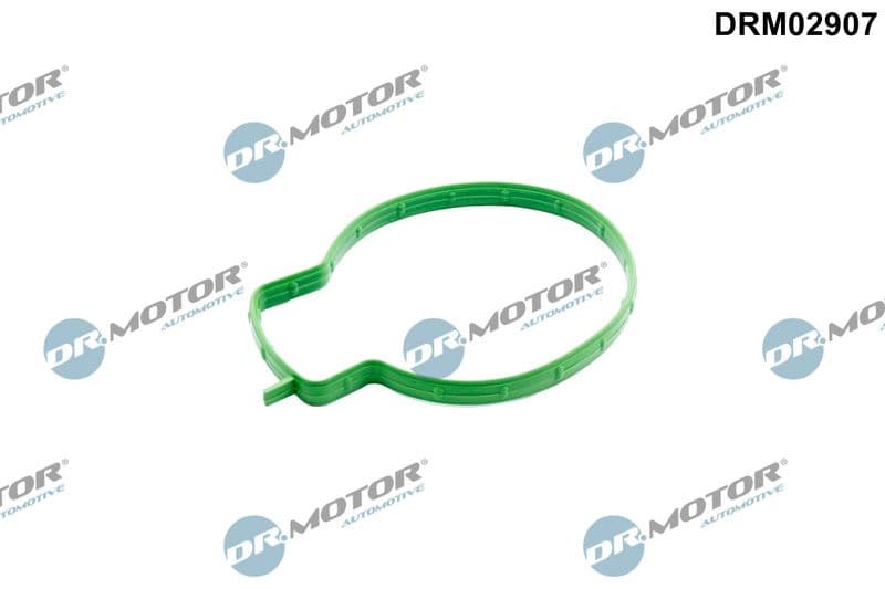 Joint, manchon de vanne papillon Dr.Motor Automotive