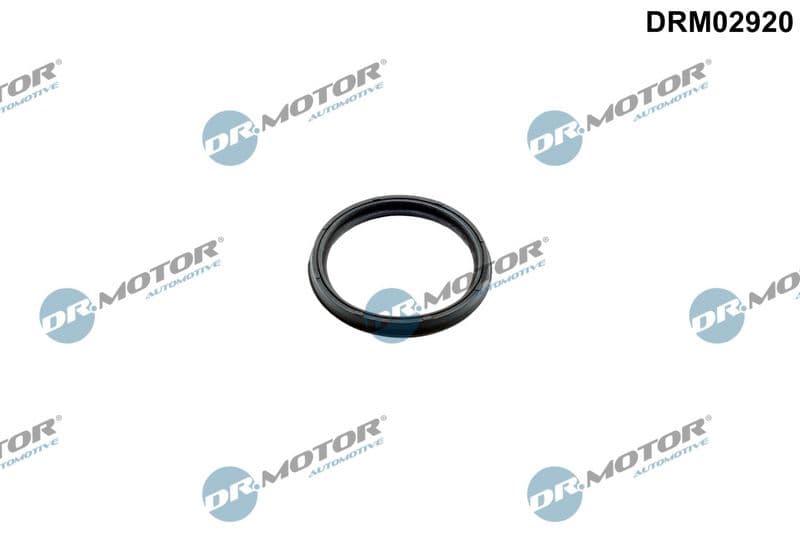 Bague d'étanchéité, gaine de suralimentation Dr.Motor Automotive