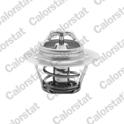 Thermostat, liquide de refroidissement CALORSTAT by Vernet