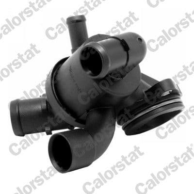 Thermostat, liquide de refroidissement CALORSTAT by Vernet