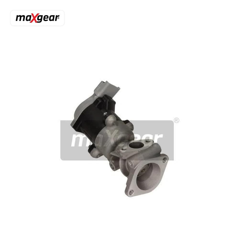 Vanne EGR MAXGEAR