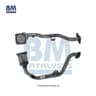 Catalyseur BM Catalysts