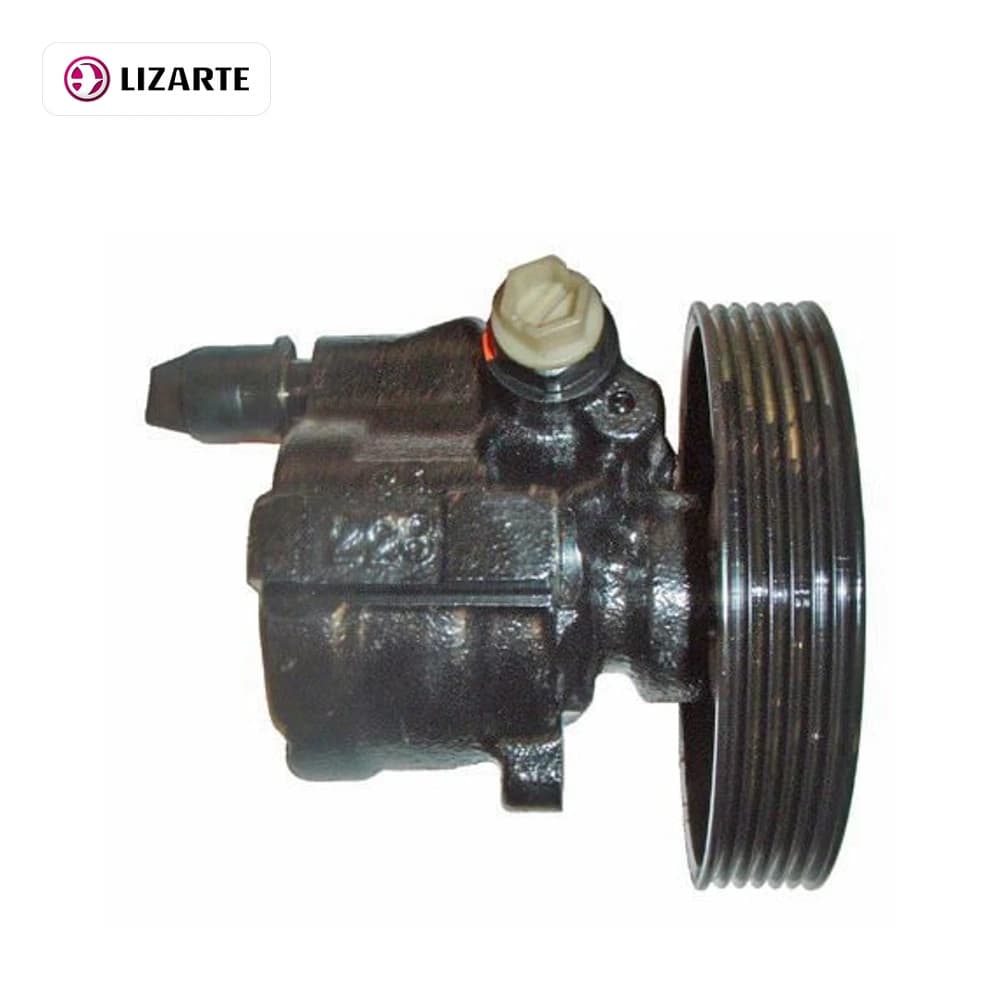 Pompe hydraulique, direction LIZARTE