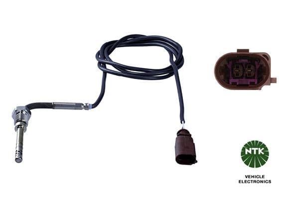 Capteur, température des gaz NTK