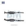 Catalyseur BM Catalysts