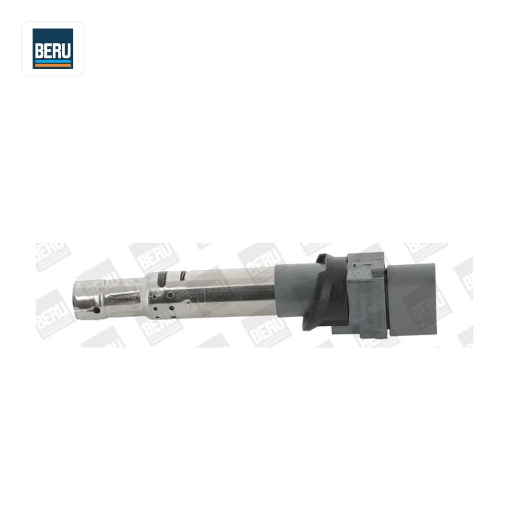 Bobine d'allumage BorgWarner (BERU)