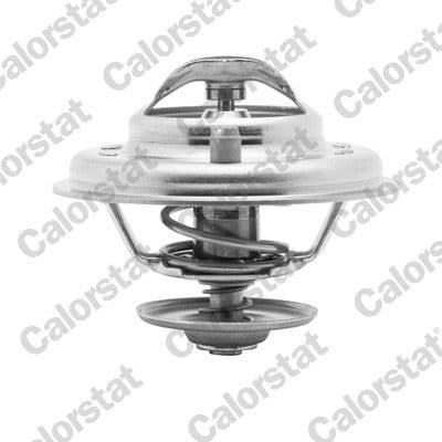 Thermostat, liquide de refroidissement CALORSTAT by Vernet
