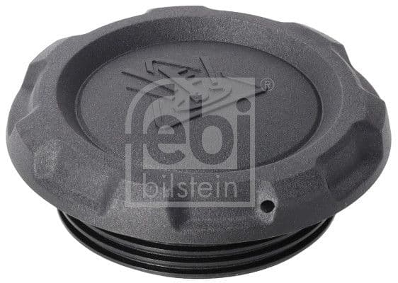 Bouchon, réservoir de liquide de refroidissement - image 1