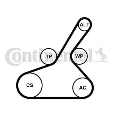 Jeu de courroies trapézoïdales à nervures Continental