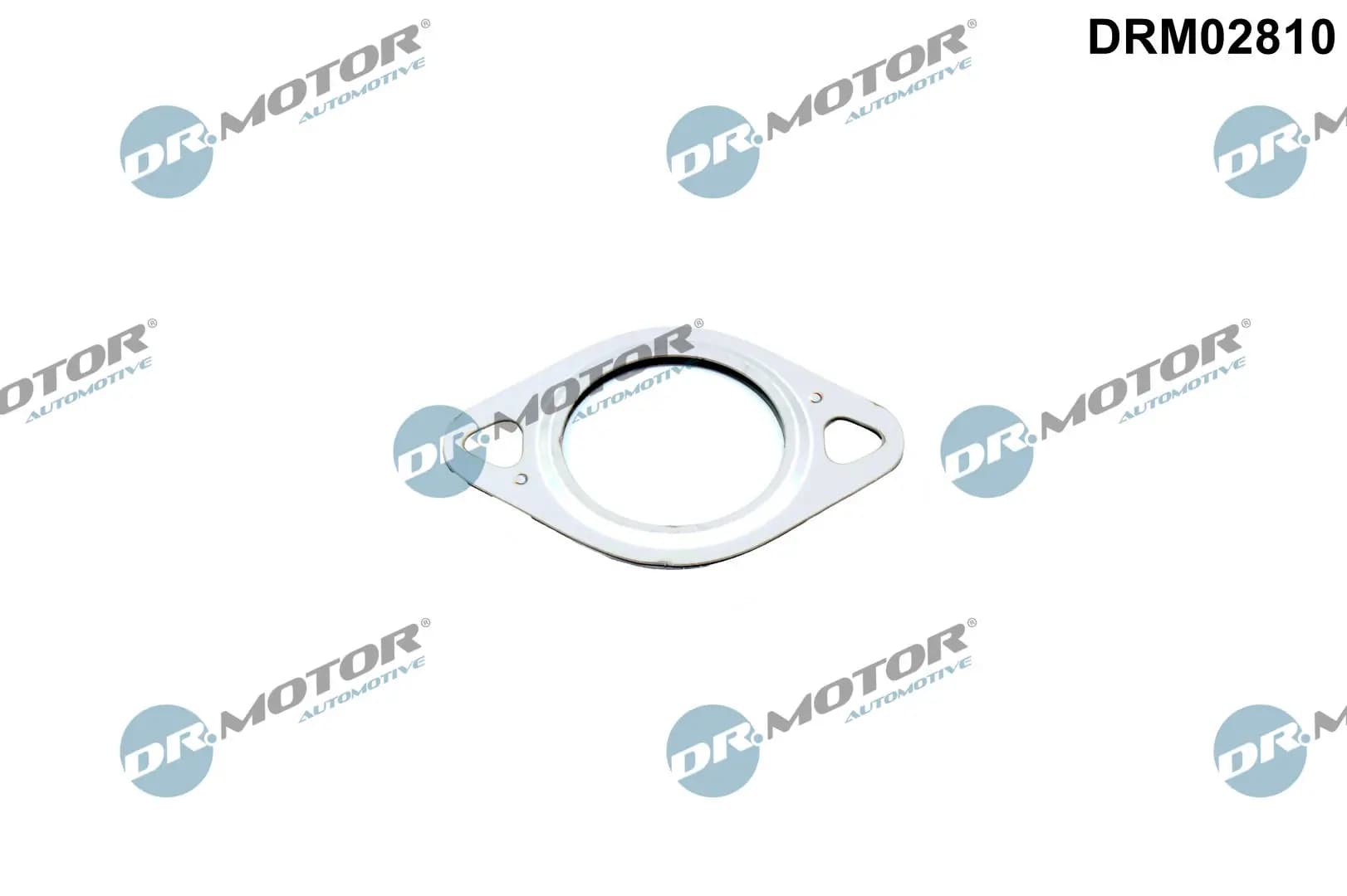Joint, flexible vanne EGR Dr. Motor Automotive