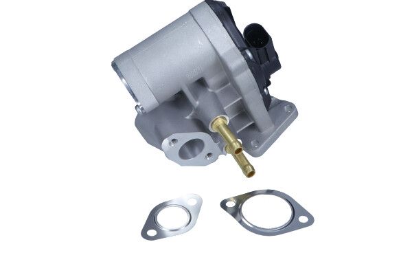 Vanne EGR MAXGEAR