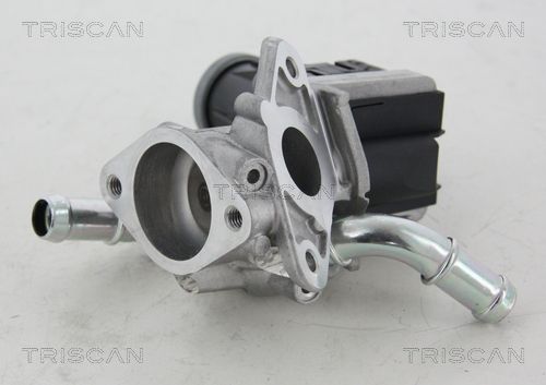 Vanne EGR TRISCAN