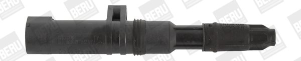 Bobine d'allumage BorgWarner (BERU)