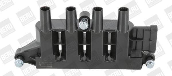 Bobine d'allumage BorgWarner (BERU)