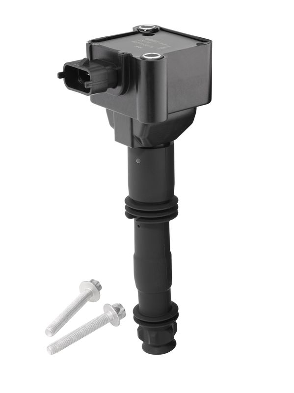 Bobine d'allumage BorgWarner (BERU)