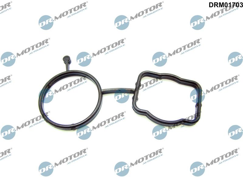 Joint, boîtier du thermostat Dr.Motor Automotive