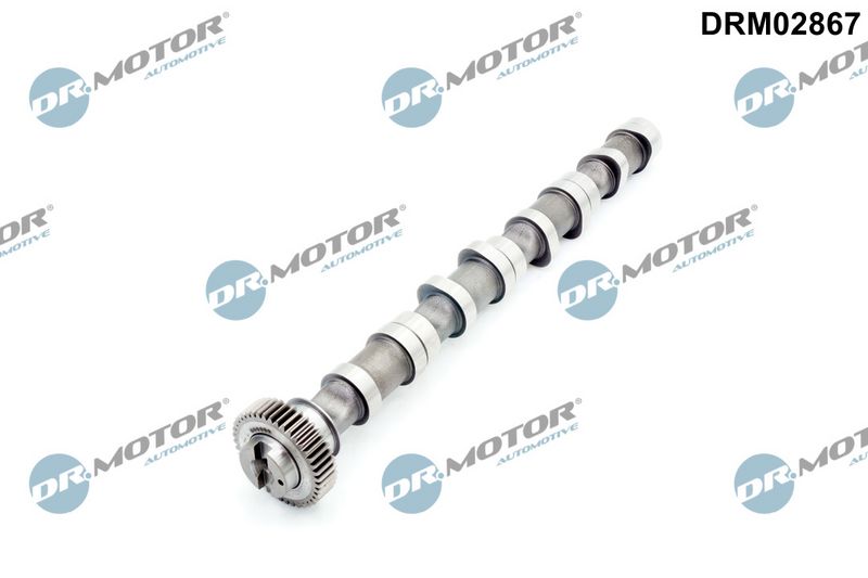 Arbre à came Dr.Motor Automotive