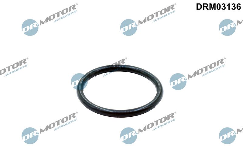 Joint, tuyauterie de liquide de refroidissement Dr.Motor Automotive
