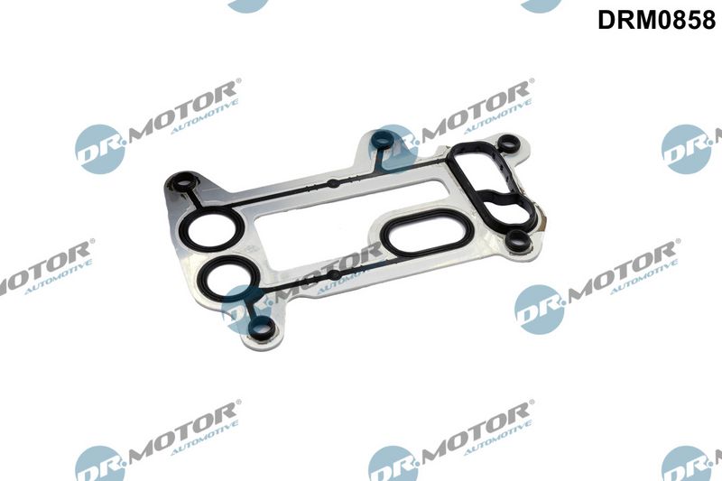 Joint, radiateur d'huile Dr.Motor Automotive