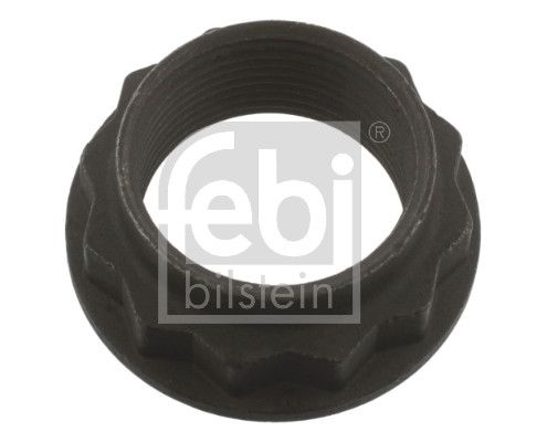 Écrou, arbre d’entrée (différentiel) FEBI BILSTEIN